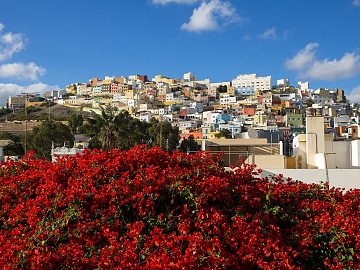 Zdjęcie kierunku: Las Palmas
